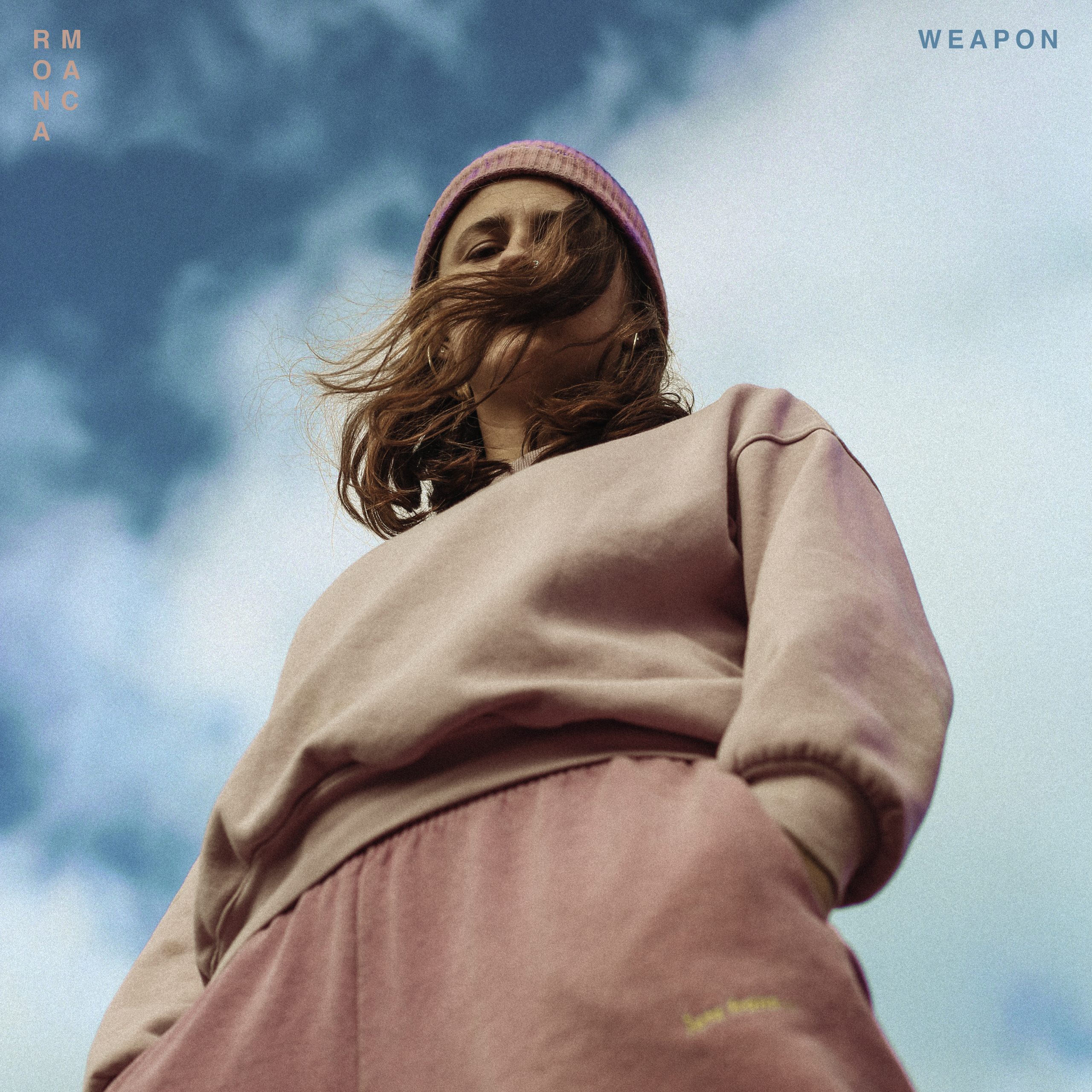 Weapon Cover Artwork